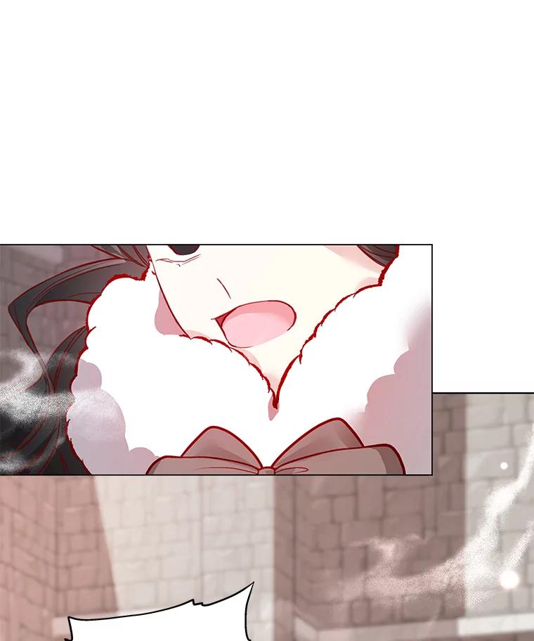 《龙套大公子妃的花路人生》4.收到回信 第74页