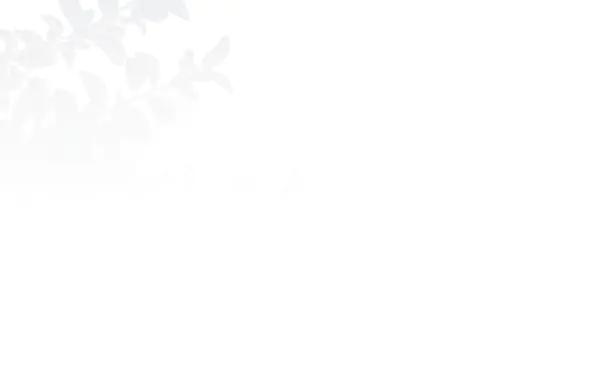 坏蛋们的掌上千金 - 第121话 单枪匹马 - 第26张图