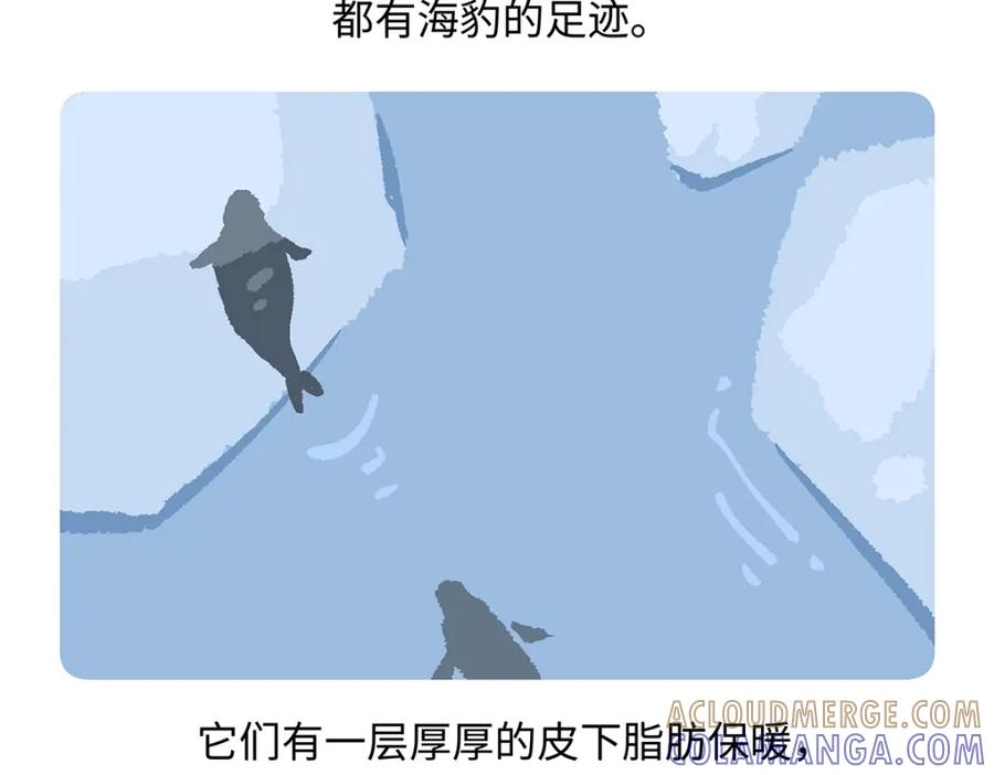 《胖达x胖达》第263话 第15页