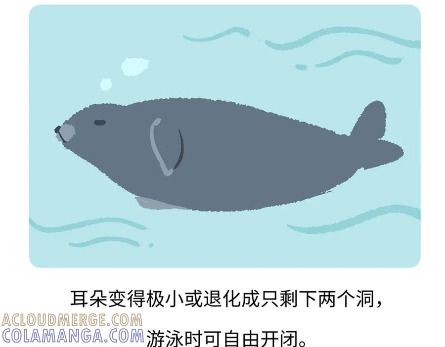 《胖达x胖达》第263话 第17页