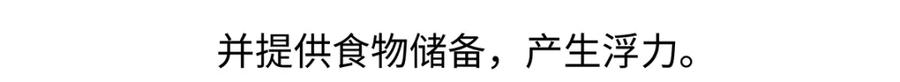 《胖达x胖达》第263话 第16页