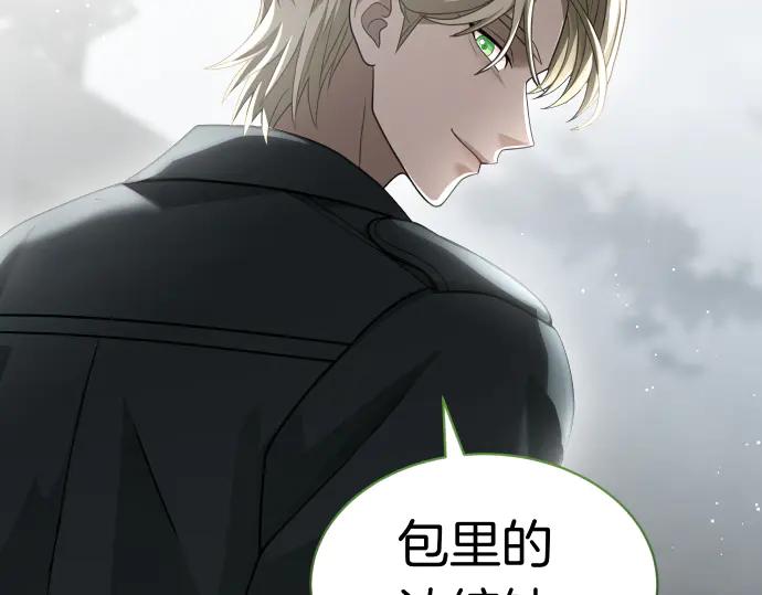 《凡菲尔德的秘密》第55话 暂时撤退 第154页