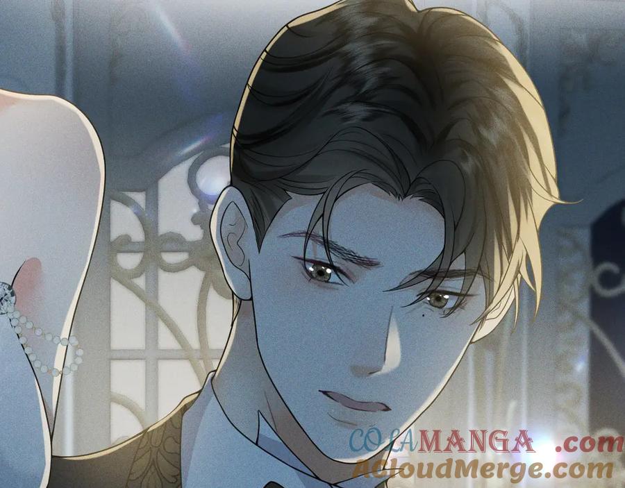 《公爵小姐和逃犯闪婚了》008 胜利之夜 第121页