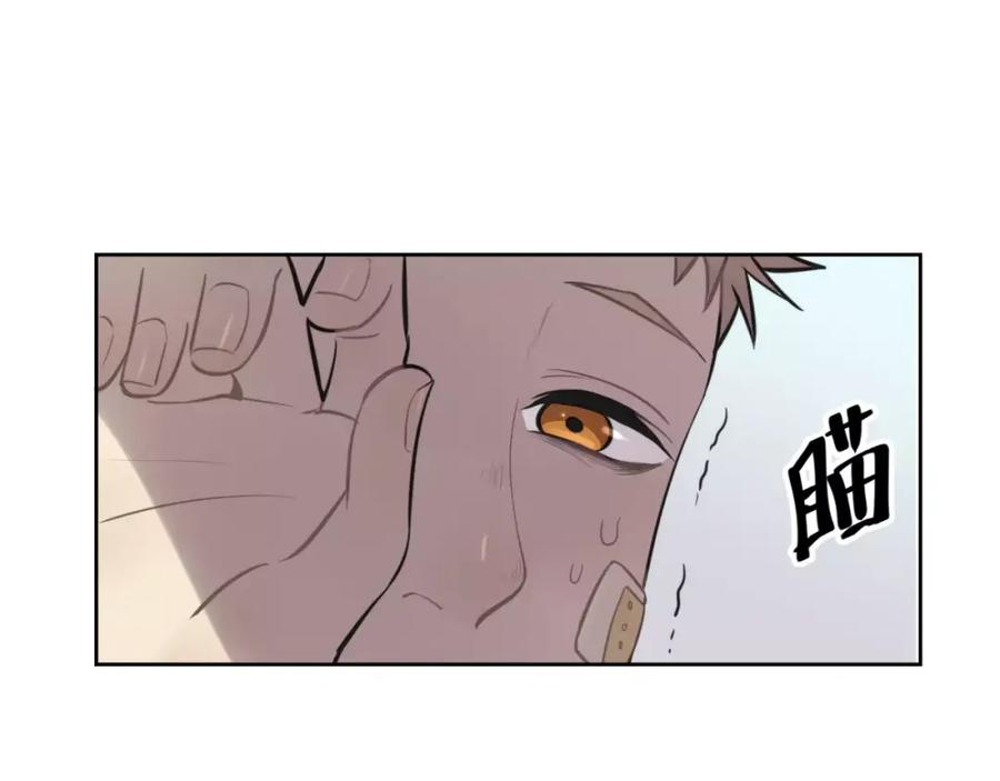 《少年纪事》第10话 掌控欲 第47页