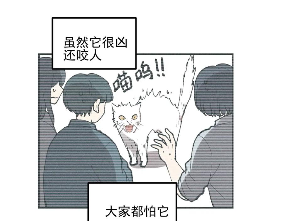 《少年纪事》第68话谷明陈灵篇恶魔花瓶14 第59页