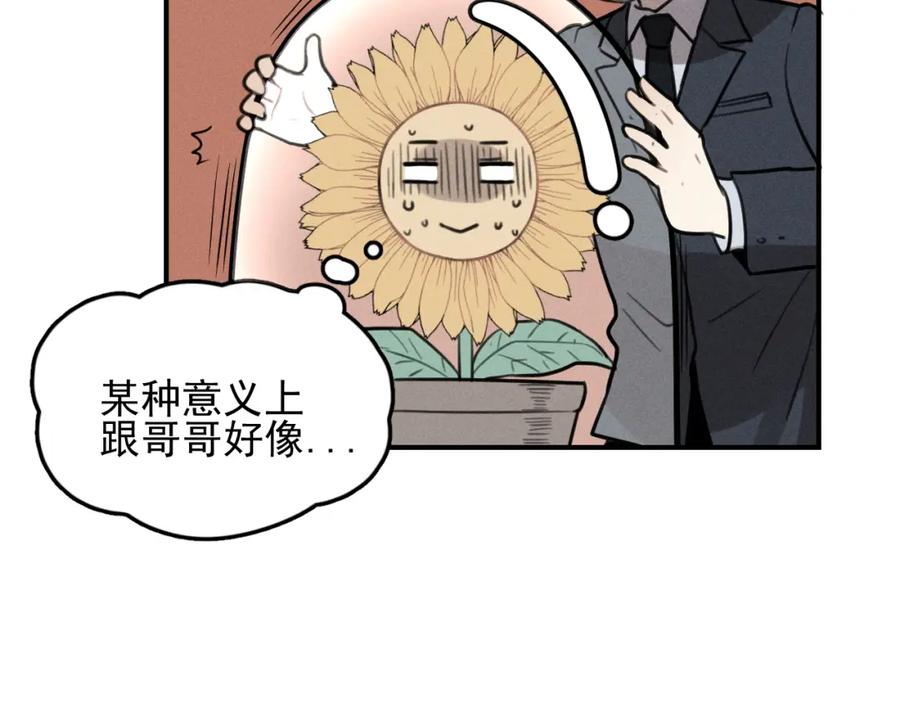 《少年纪事》第71话 哥哥，你回来了 第20页