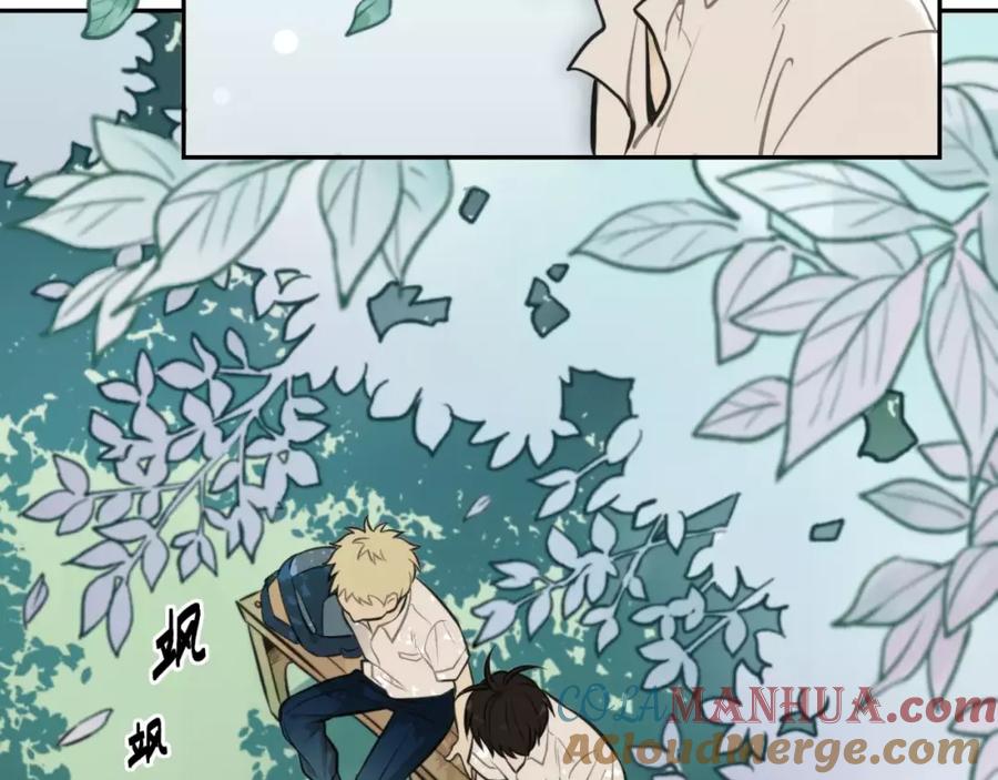 《少年纪事》第7话 心里的百分比 第13页