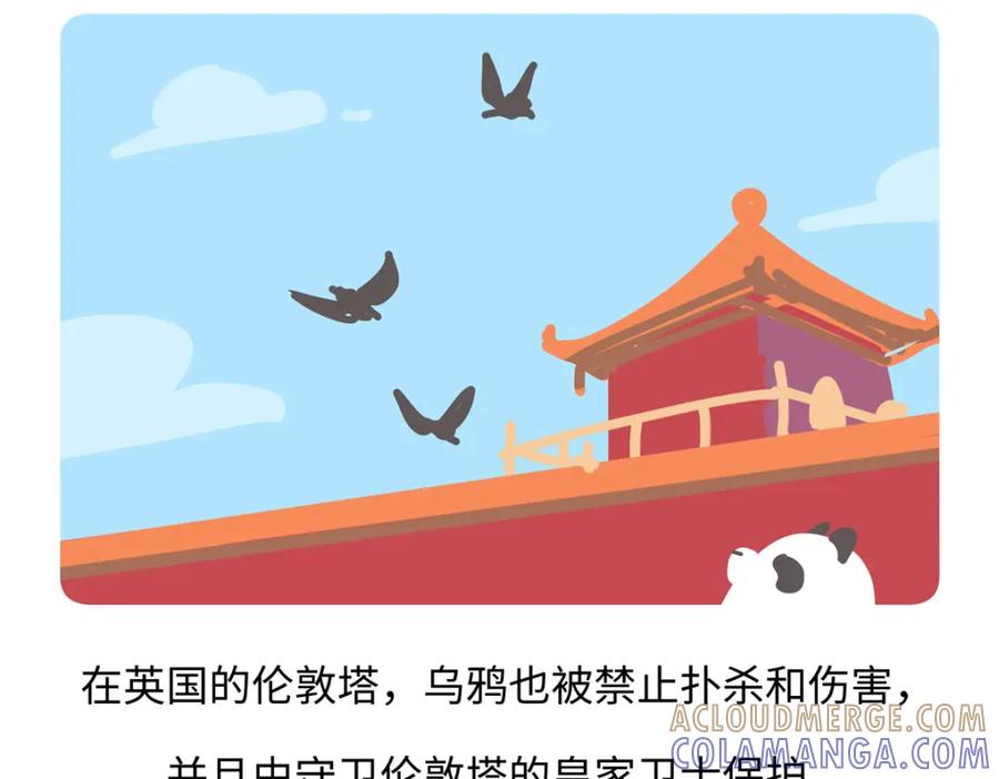《胖达x胖达》第248话 第21页
