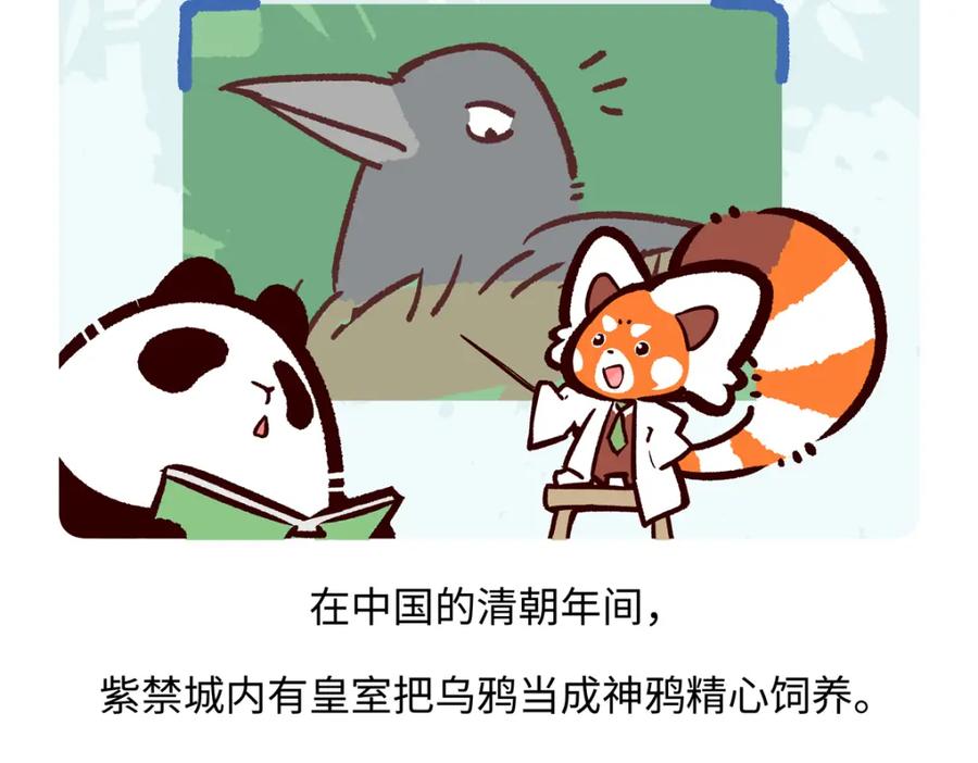 《胖达x胖达》第248话 第20页