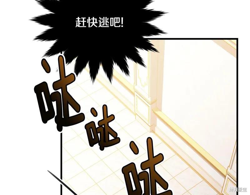 《明明是冷美人小姐却变成了忠犬大少爷》第72话 第88页