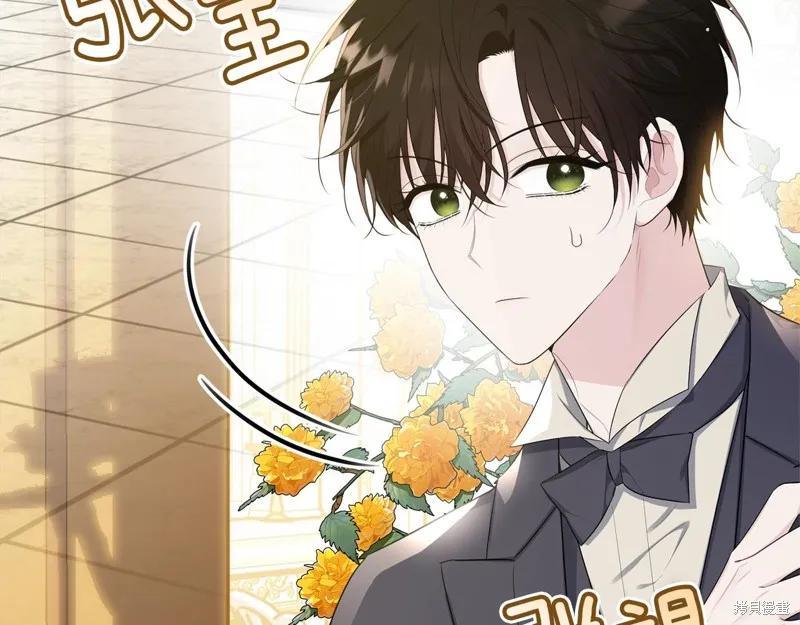 《明明是冷美人小姐却变成了忠犬大少爷》第72话 第79页