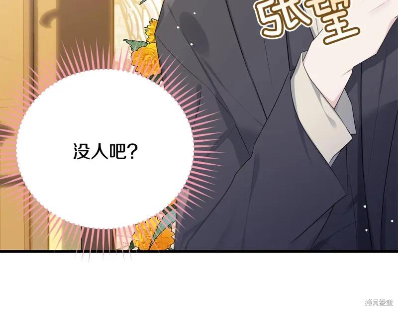 《明明是冷美人小姐却变成了忠犬大少爷》第72话 第80页