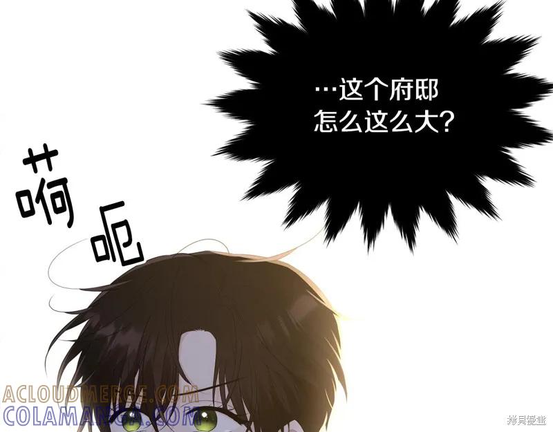 《明明是冷美人小姐却变成了忠犬大少爷》第72话 第97页