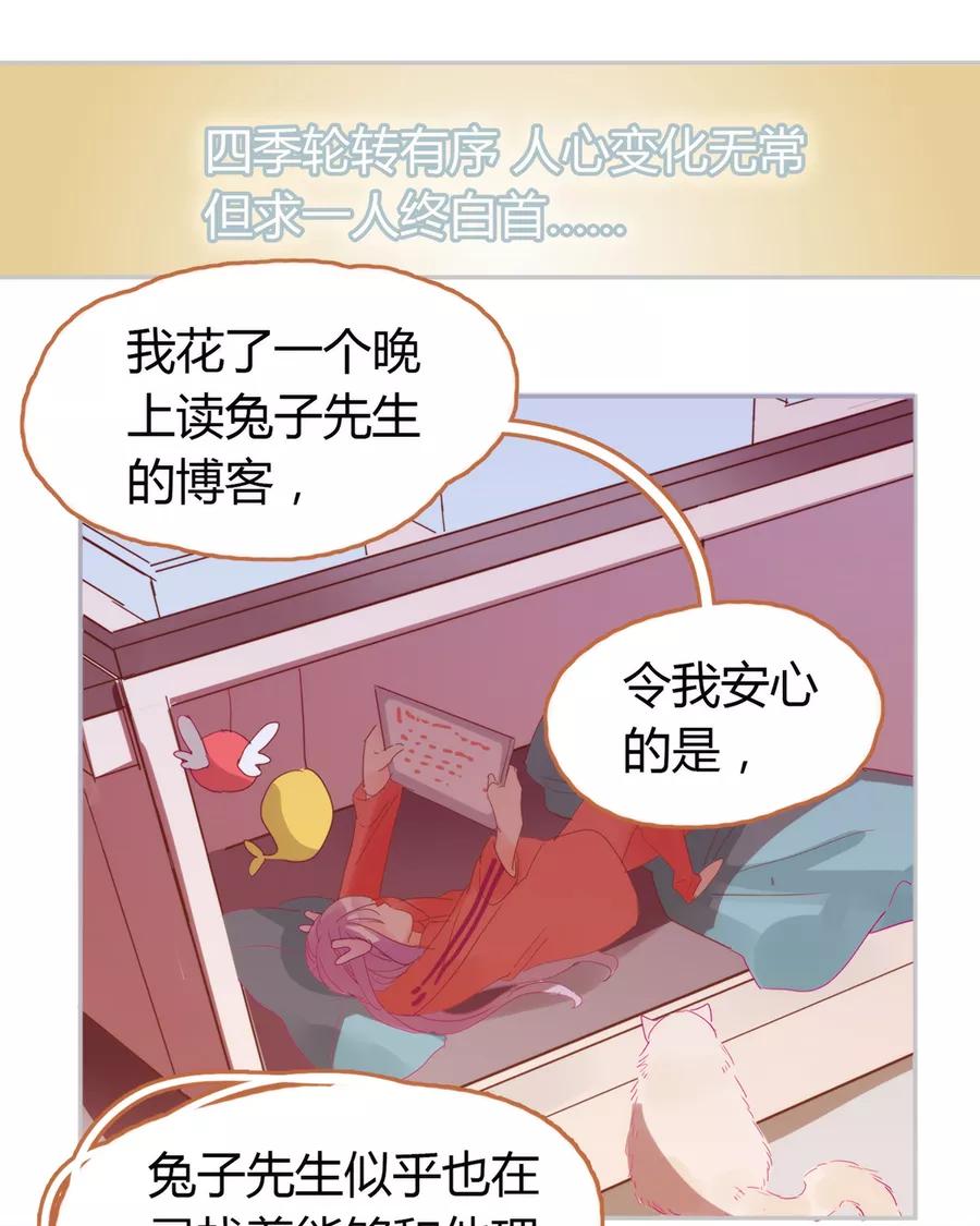 《少女的幻想之浪漫特辑》14话 没有兔子星人 - 袋鼠 作家 第17页