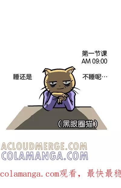 《宅男幻想曲》[第53话] 黑眼圈猫 第6页