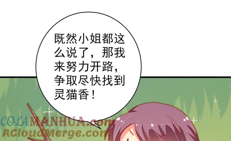 少帅每天都在吃醋 - 第120话 灵猫香 - 第70张图