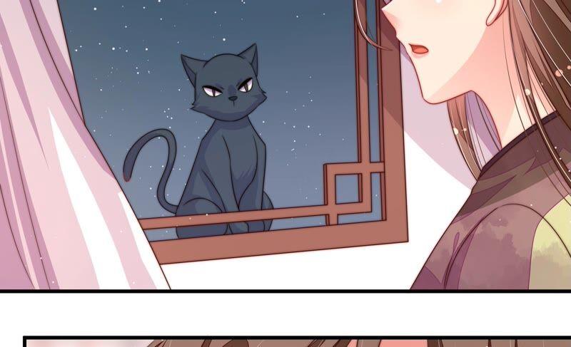 少帅每天都在吃醋 - 第198话 黑猫 - 第8张图