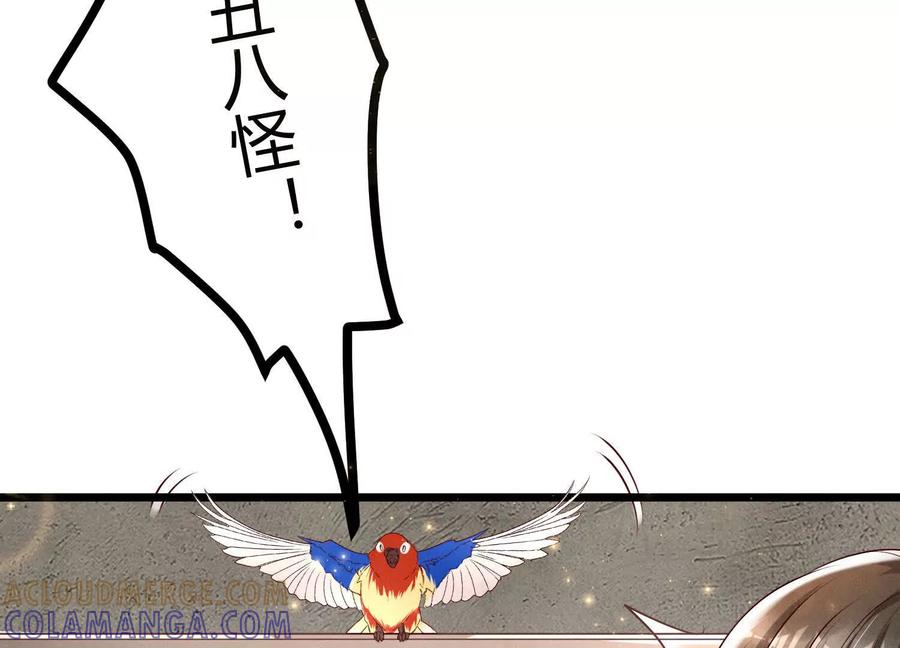 《少帅每天都在吃醋3：少帅是醋精》第3话 猛料 第13页