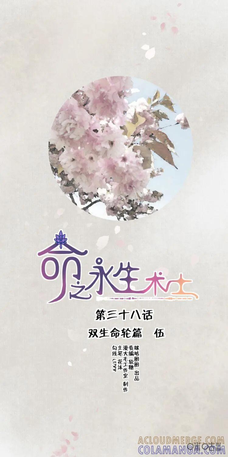 《命之永生术士》第38话：双生命轮篇 05 第9页