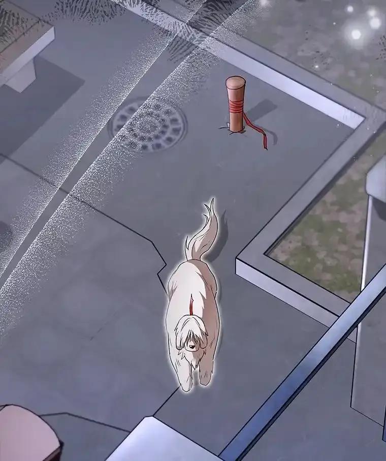 《你好？兽医先生！》59.我们回家吧 第58页