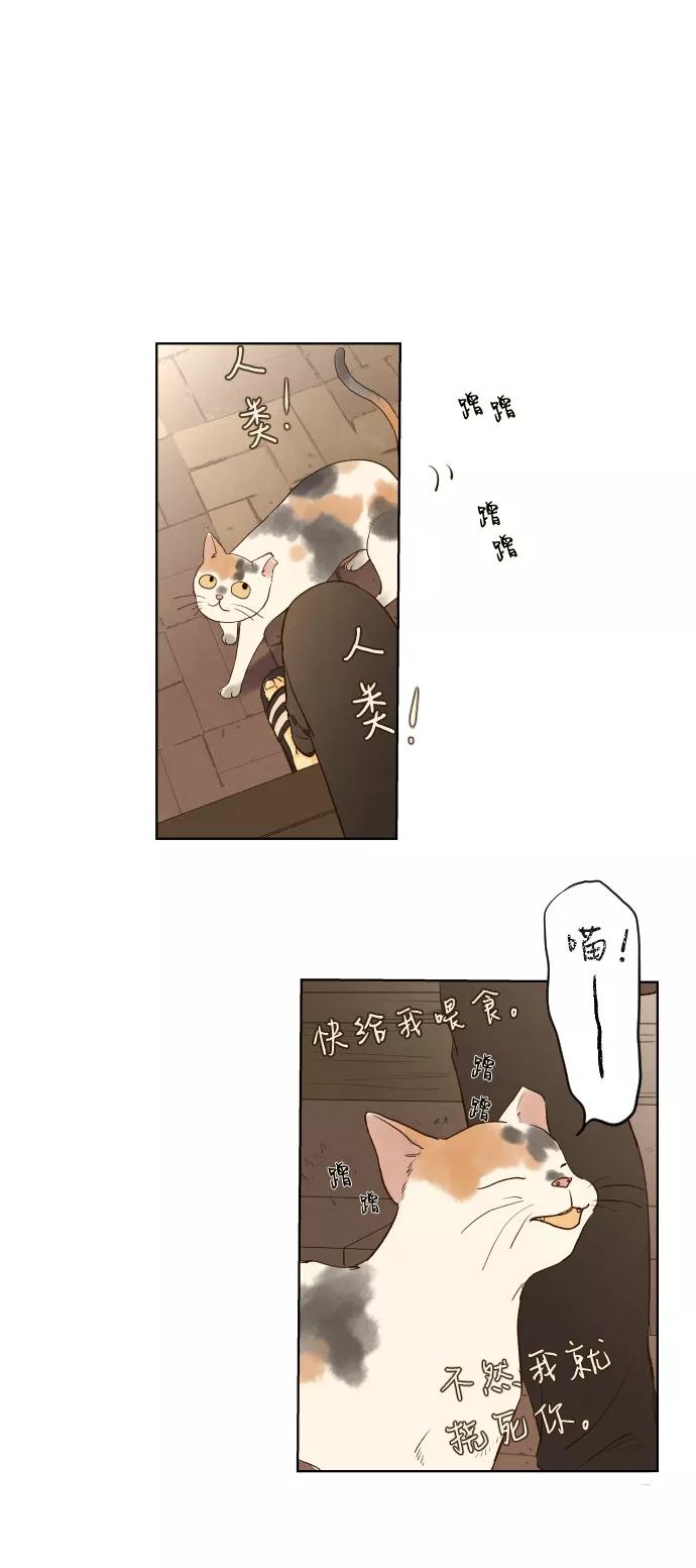 《那年夏天的我们》ep.105 第39页