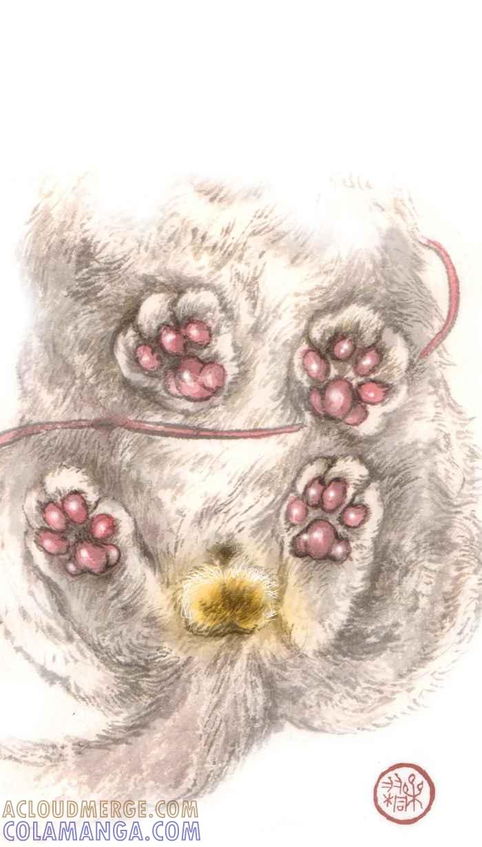 猫剑客 休刊 5 第9页