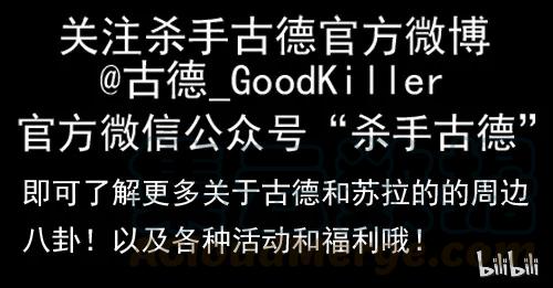 《杀手古德》1260 担忧 第19页