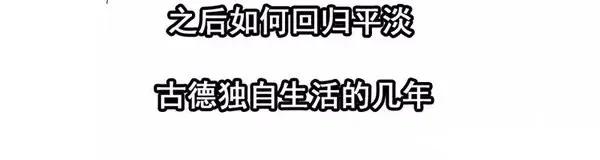 《杀手古德》1446 前传预告 第39页