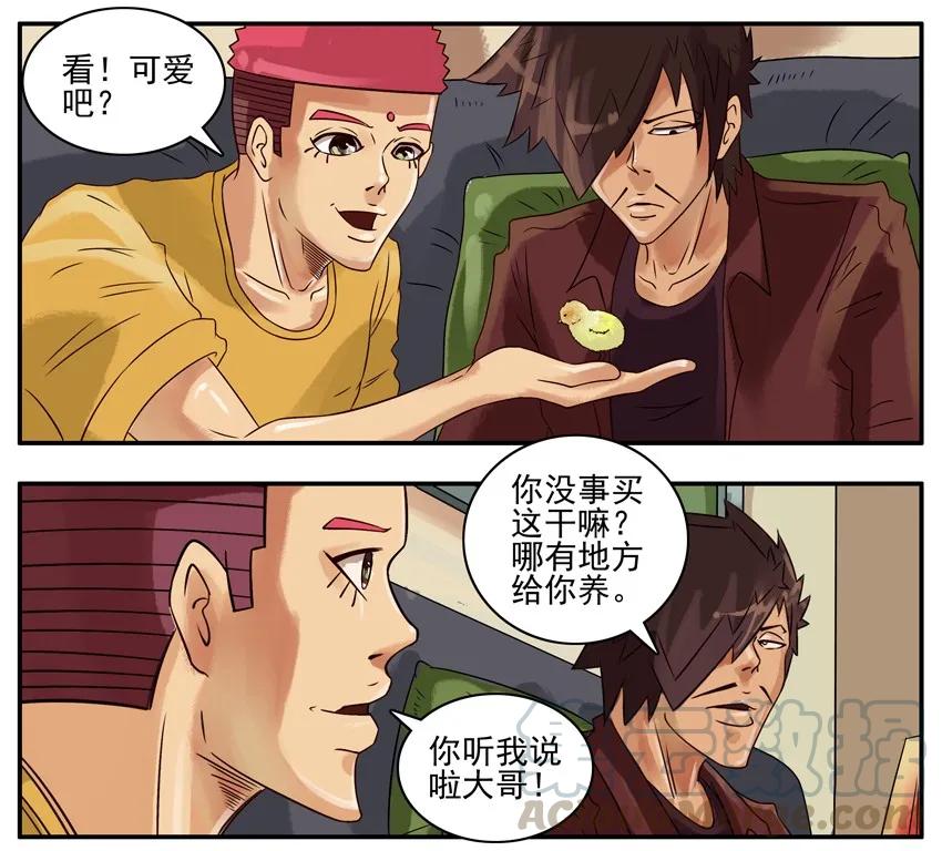 《杀手古德》311 小动物 第3页