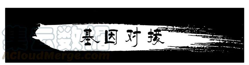 《杀手古德》365 基因对接 第1页
