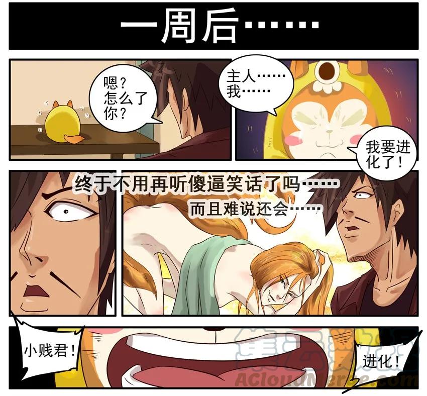《杀手古德》433 小贱君 第5页