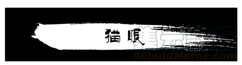 《杀手古德》541 猫眼 第1页