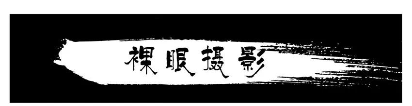 《杀手古德》744 裸眼摄影+开车活动 第2页