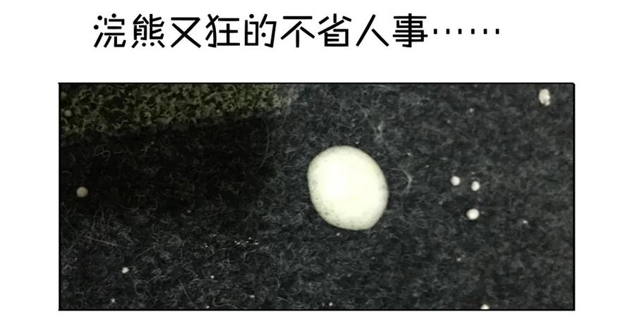 《杀手古德》900 九百话纪念 第113页