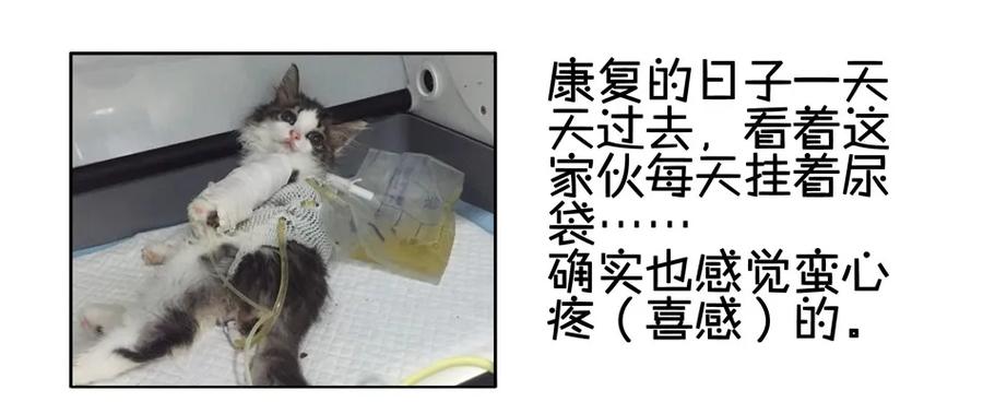 《杀手古德》900 九百话纪念 第50页
