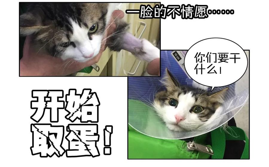 《杀手古德》900 九百话纪念 第84页