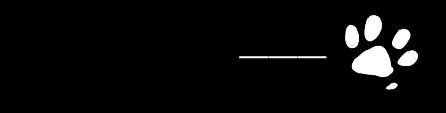 《杀手古德》900 九百话纪念 第140页