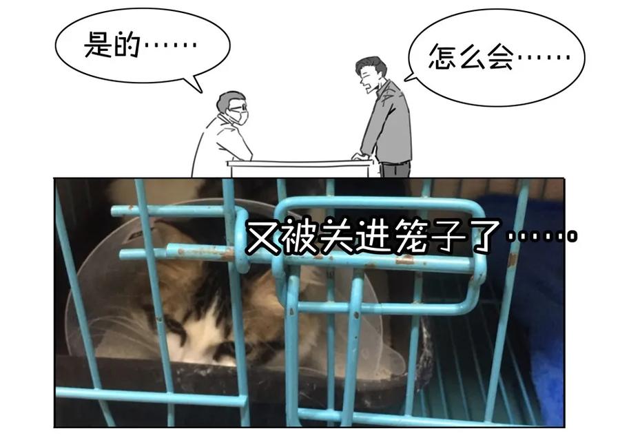 《杀手古德》900 九百话纪念 第98页