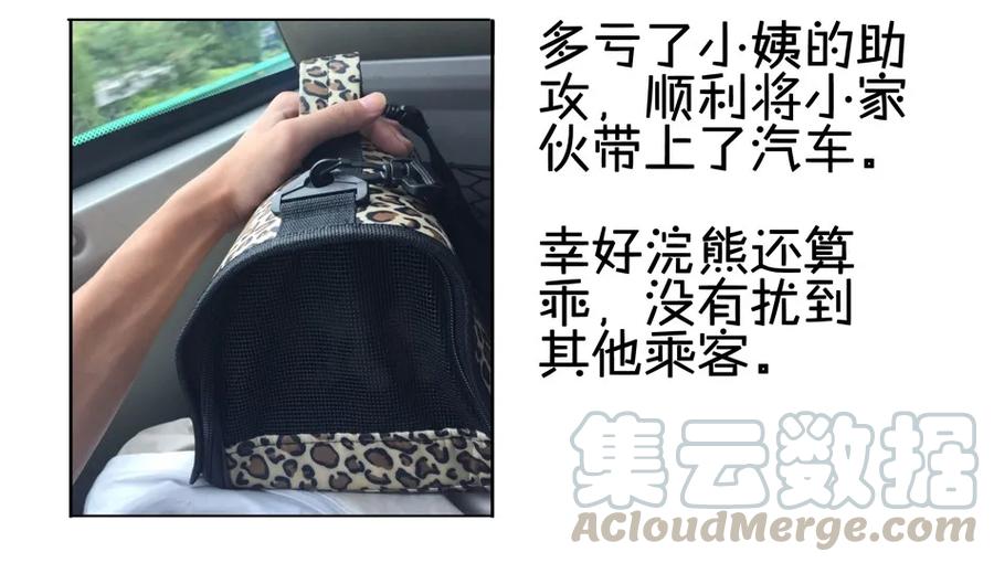 《杀手古德》900 九百话纪念 第21页