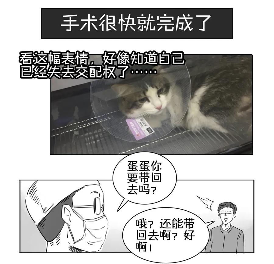 《杀手古德》900 九百话纪念 第85页