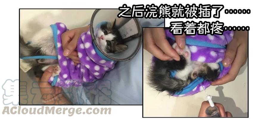 《杀手古德》900 九百话纪念 第31页
