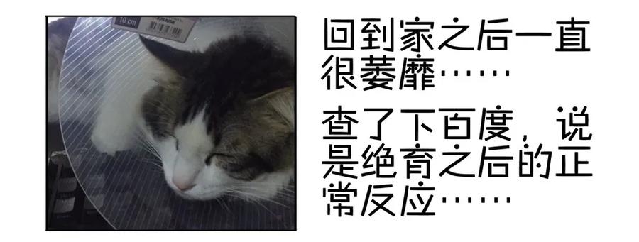 《杀手古德》900 九百话纪念 第89页
