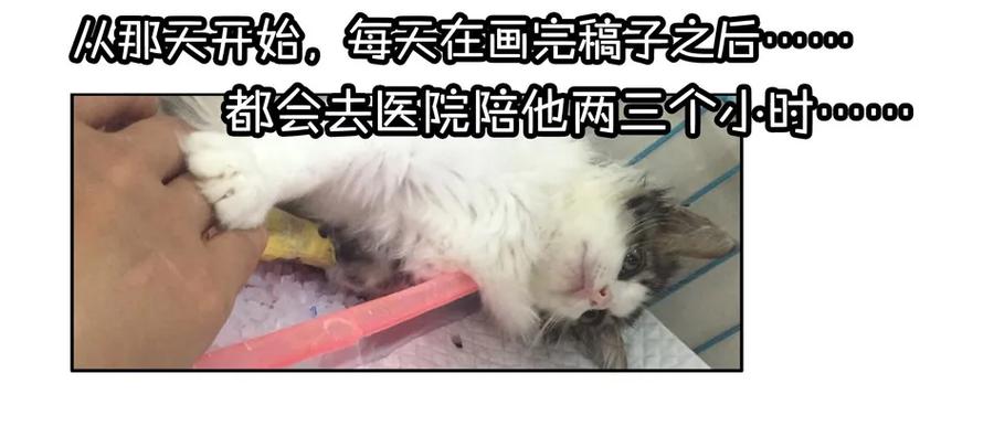 《杀手古德》900 九百话纪念 第34页