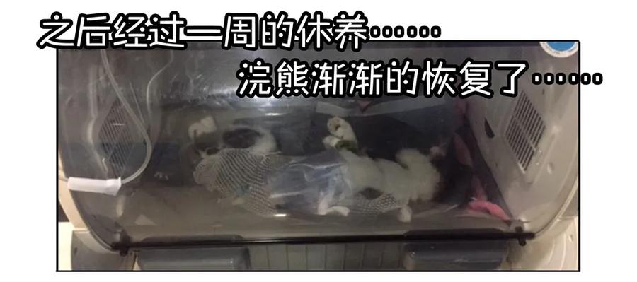 《杀手古德》900 九百话纪念 第124页