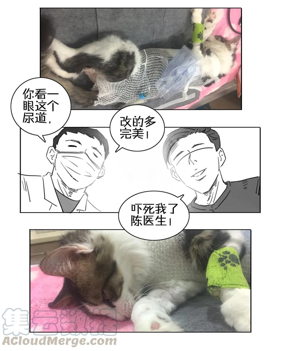 《杀手古德》900 九百话纪念 第121页