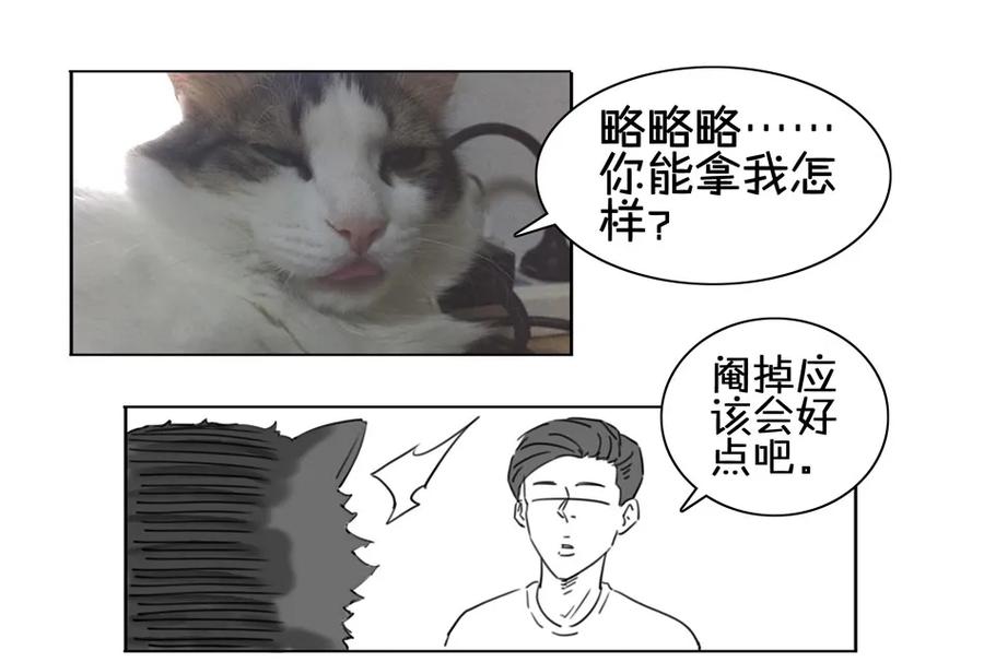 《杀手古德》900 九百话纪念 第82页
