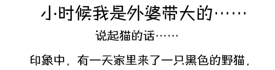 《杀手古德》900 九百话纪念 第74页