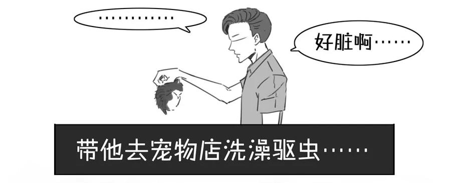 《杀手古德》900 九百话纪念 第13页