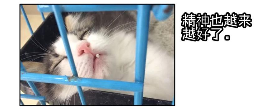 《杀手古德》900 九百话纪念 第52页