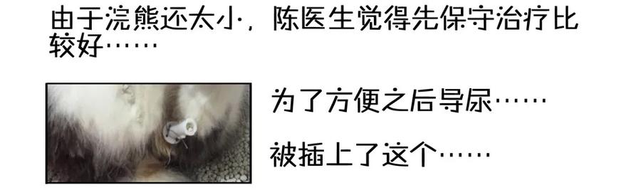 《杀手古德》900 九百话纪念 第32页